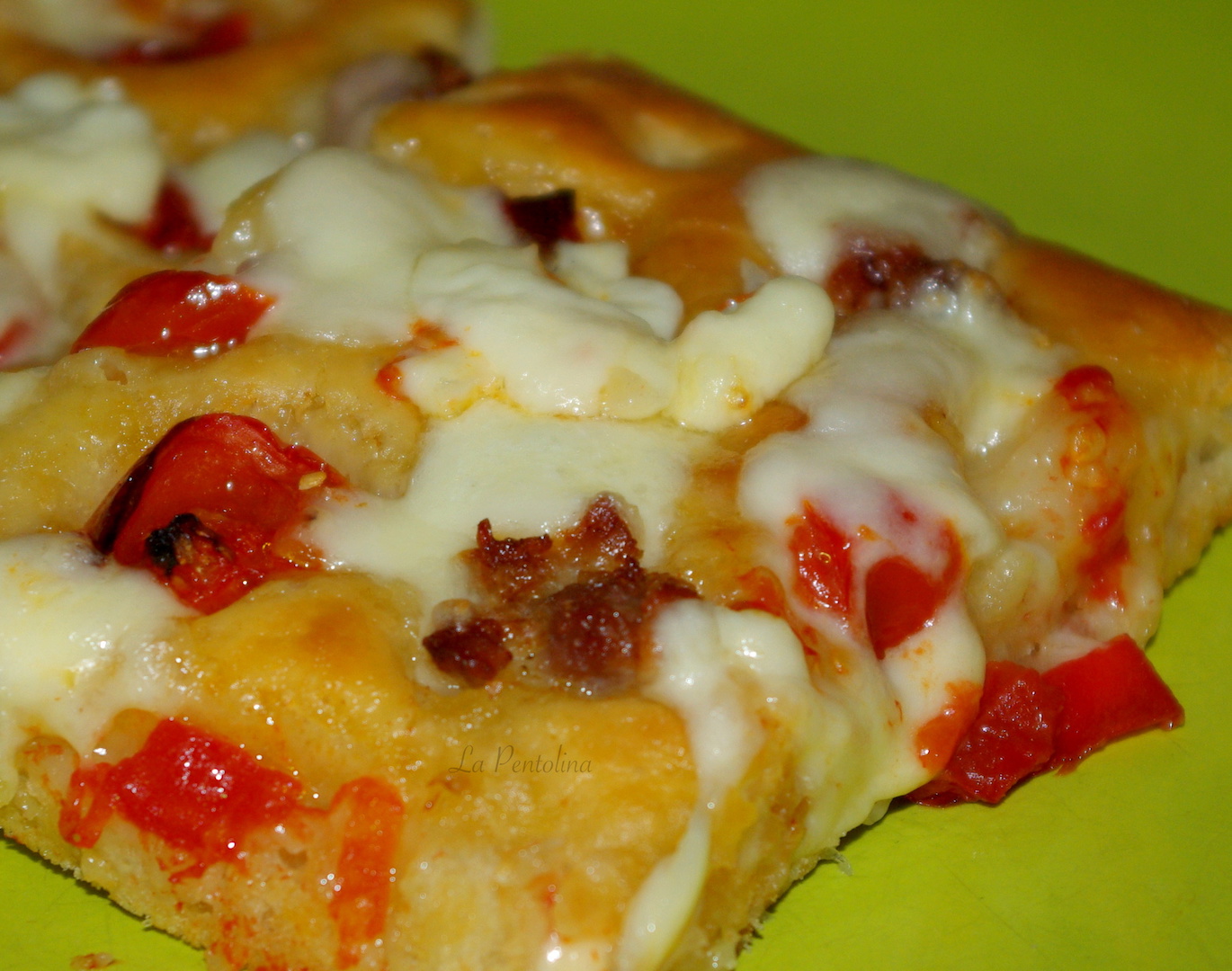 pizza con lievito madre 2.JPG